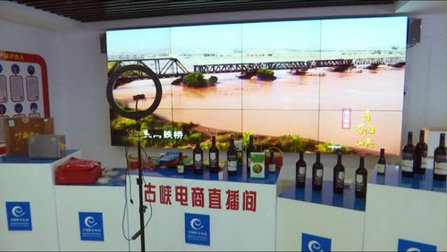 京東集團西北區總部考察青銅峽市電子商務服務，共謀區域數字經濟發展新篇章